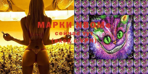 PSILOCYBIN Алзамай