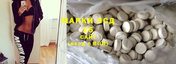 PSILOCYBIN Алзамай