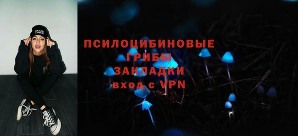 PSILOCYBIN Алзамай