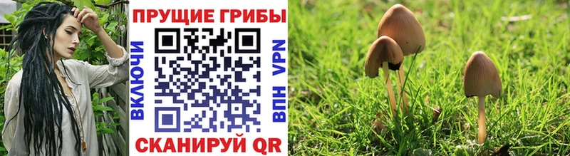 Псилоцибиновые грибы ЛСД Мегион
